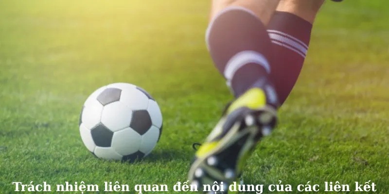 Trách nhiệm liên quan đến nội dung của các liên kết